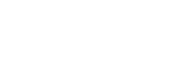 Detroit Website Design Logo